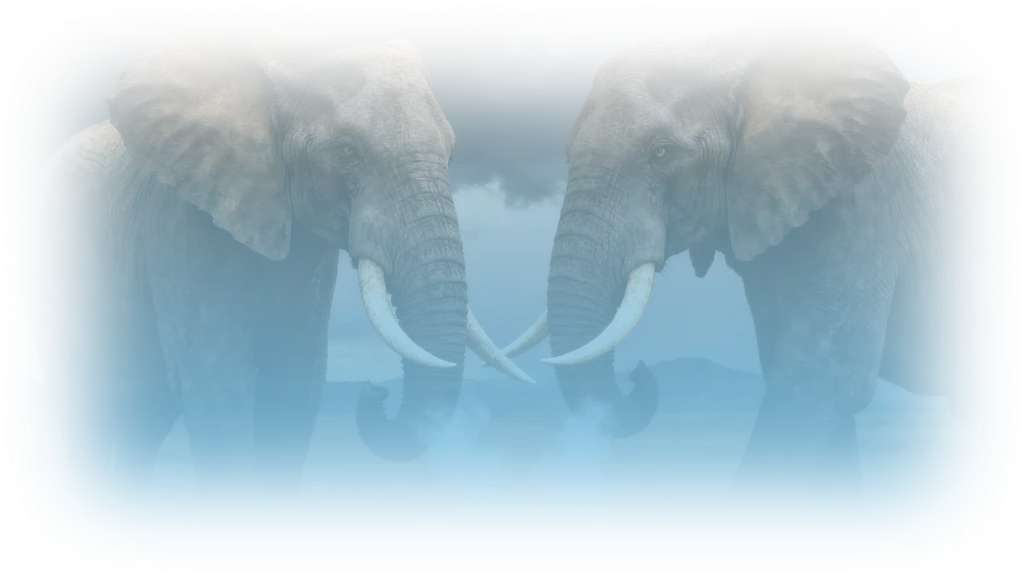 Chemical raw materials supplier PMMA MMA Double Elephant